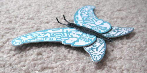 Social Butterfly image